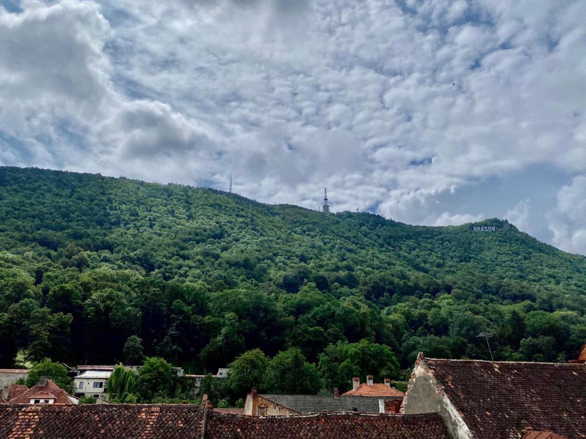 Apartament cu vedere la munte